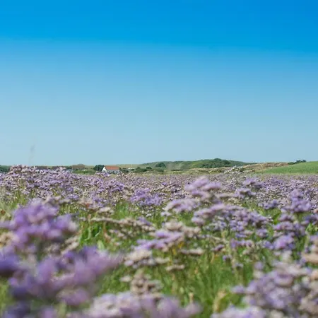 Deichblick Suederloog 40 Whg 5 Spiekeroog