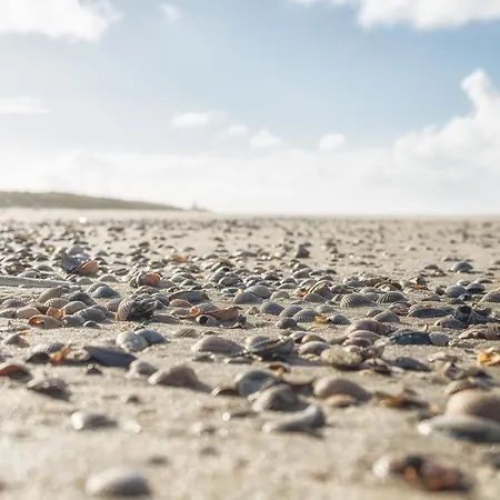 Deichblick Suederloog 40 Whg 5 * Spiekeroog