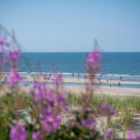 Deichblick Suederloog 40 Whg 5 Apartamento