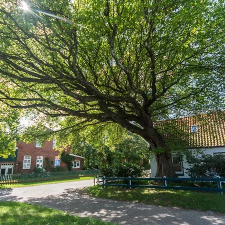 Deichblick Suederloog 40 Whg 5 *